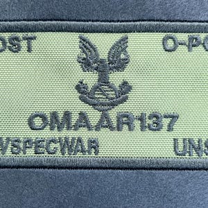 May include: A green and black military patch with the text "ODST", "O-POS", "OMAAR137", "NAVSPECWAR", and "UNSC".