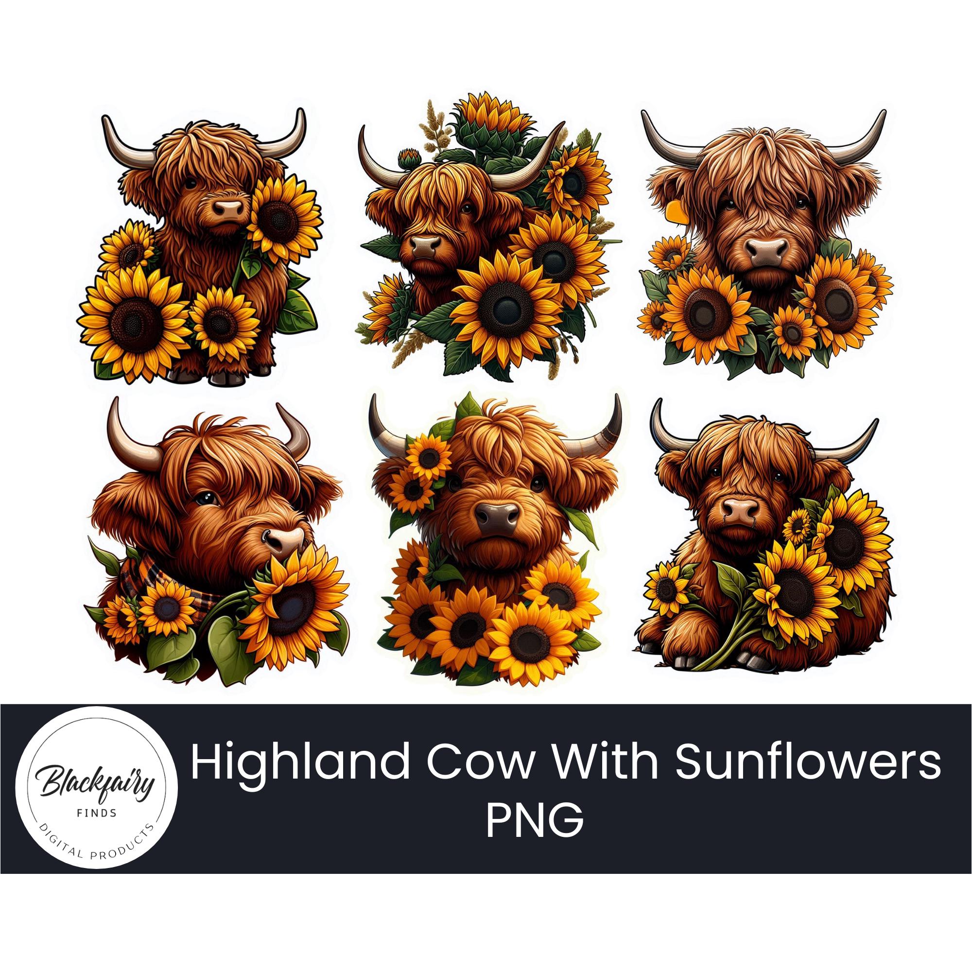 6 PNG Images Highland Cow Sunflowers Clipart Transparent Background ...