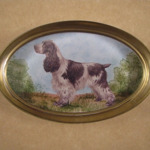 desk springer spaniels