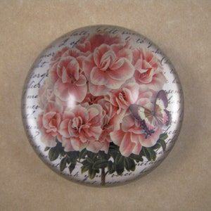 Pink Azalea Dome, Azalea Paperweight, Dome Paperweight, Medium Dome