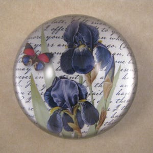 Può includere: Un fermacarte rotondo con un disegno di iris blu e una farfalla. Gli iris sono in piena fioritura con foglie e steli verdi. Lo sfondo presenta un testo sbiadito. La farfalla ha ali rosse, blu e nere.