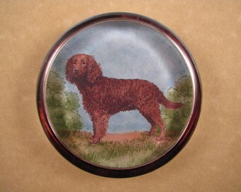 American Water Spaniel, Spaniel Paperweight, Water Spaniel Gift, Water Spaniel Art, Large Round, Glass Paperweight