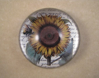 Sunflower Dome, Floral Paperweight, Sunflower Lover, Dome Paperweight, Medium Glass Dome, Yellow Sunflower, Sunflower Art