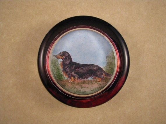 Miniature Longhaired Dachshund Dachshund Gift Dog Etsy