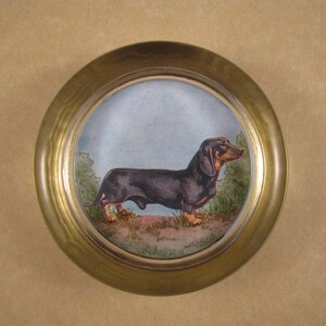 Miniatuur kortharige teckel, teckel presse-papier, kortharige doxie, ronde presse-papier, glazen presse-papier, huisdierenportret
