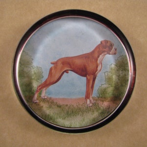 May include: A brown and white boxer dog standing in a field of green grass. The dog is looking to the right of the image. The image is framed in a silver circle.