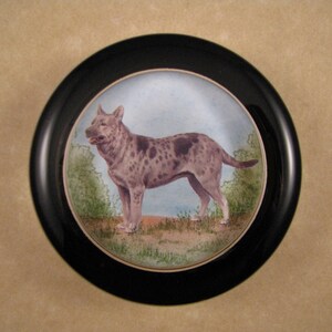 Australian Cattle Dog, Cattle Dog Portrait, Hund Briefbeschwerer, Runder Briefbeschwerer, Glas Briefbeschwerer, ACD Lover, Haustier Porträt