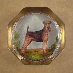 Welsh Terrier Paperweight, Dog Paperweight, Octagon Paperweight, Glass Paperweight, Pet Portrait, Welsh Terrier Art