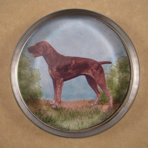 May include: A round glass paperweight with a silver metal rim features a painted image of a brown and white dog standing in a grassy field.