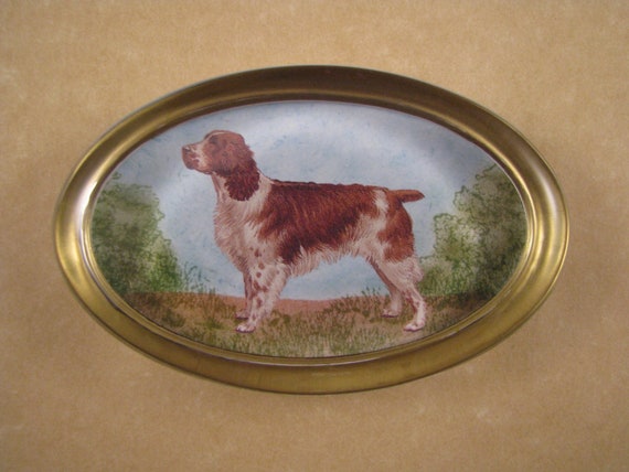 desk springer spaniels