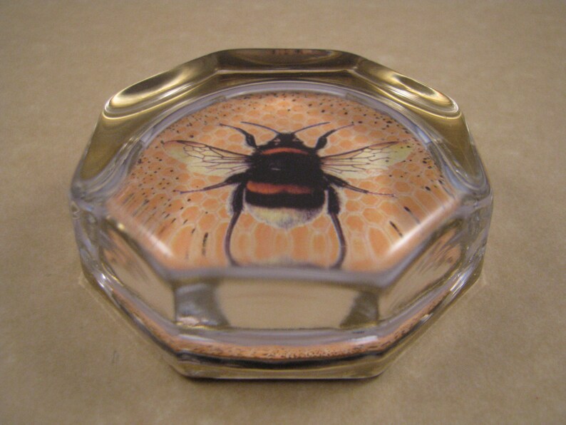 Bee Paperweight A Black and Gold Bee Octagon Paperweight Etsy