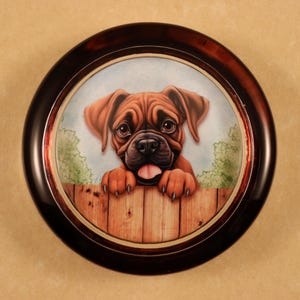 May include: A brown and white boxer puppy peeks over a wooden fence. The puppy has a playful expression and is looking directly at the viewer. The background is a light blue sky with green foliage.