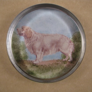 Clumber Spaniel, Spaniel Paperweight, Clumber Spaniel Gift, Spaniel Portrait, Large Round, Glass Paperweight, Spaniel Art