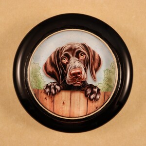 May include: A black and white ceramic trinket box with a detailed painting of a brown and white dog peeking over a wooden fence. The dog has a brown nose and brown eyes.