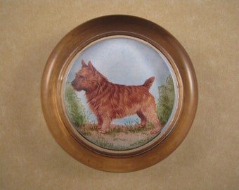 Norwich Terrier (prick-eared) Round Glass Paperweight