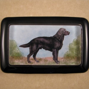May include: A black Labrador Retriever dog standing in a field of green grass. The dog is looking to the right of the image. The image is framed in a black frame.