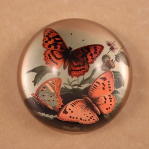 Butterflies on Branch, Butterfly Paperweight, Butterfly Lover, Insect Paperweight, Dome Paperweight, Medium Dome