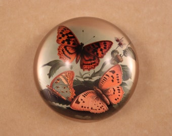 Butterflies on Branch, Butterfly Paperweight, Butterfly Lover, Insect Paperweight, Dome Paperweight, Medium Dome
