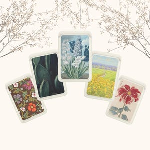Carteira Magsafe com pétalas de cacto, carteira magnética com plantas compatível com iPhone 15, iPhone 14, iPhone 13 SE Pro Max Plus