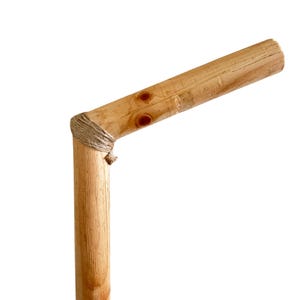 May include: A wooden walking stick with a natural finish and a knotted rope handle.