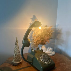 May include: A green rotary phone with a flexible arm and a light bulb on the receiver. The phone is on a wooden surface with a small gold wire tree and a vase of dried flowers.