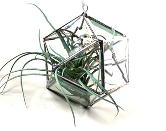 Beveled Glass Cube Hanging Terrarium - Stained Glass Air Plant Holder