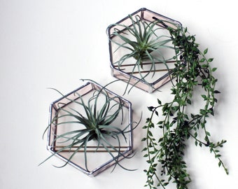 Champagne Blush Stained Glass Hexagon Wall Planter, Air Plant Holders, Honeycomb Planter, Geometric planters, Home and Garden,