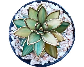 3D Stained Glass Coastal Succulent Decor for tabletop Beach decoration Summer Gifts for Her Trending Beach Succulents Coastal Home Decor,