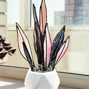 Purple Snake Plant - Etsy