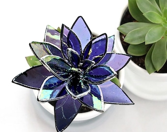 Purple Iridescent Stained Glass Succulent | Tiffany Style Glass Plant | Handmade Tabletop Decor | Botanical Gift | Plant Lover Gift