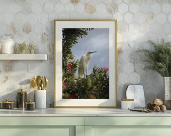 Bird on the Bay. San Diego, California.