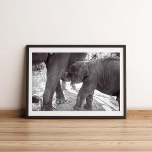 Baby and Mother Elephant Print, Chiang Mai, Thailand | Street Photography | Printable Wall Art | Digital Download Gift | Asia Travel B&W
