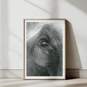 Elephant Eye Detail Print, Chiang Mai, Thailand | Photography | Printable Wall Art | Digital Download Gift | Travel Postcard New Home Decor
