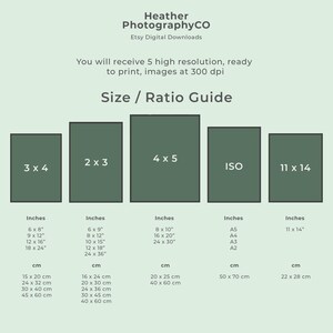 May include: A chart with five different aspect ratios for digital images, labeled 3x4, 2x3, 4x5, ISO, and 11x14. The chart shows the corresponding dimensions in inches and centimeters for each aspect ratio.