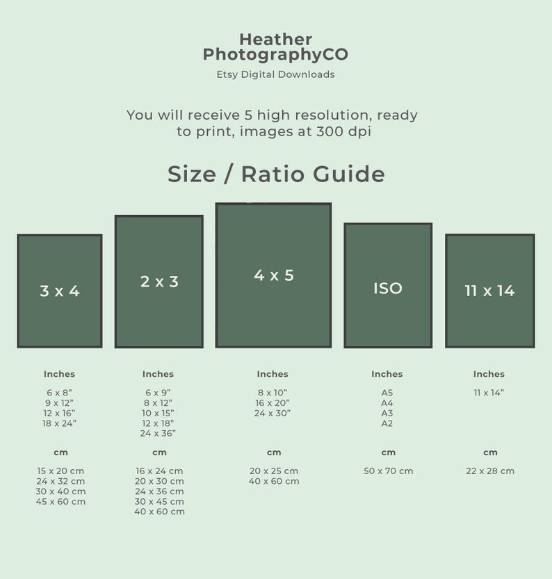 May include: A chart with five different aspect ratios for digital images, labeled 3x4, 2x3, 4x5, ISO, and 11x14. The chart shows the corresponding dimensions in inches and centimeters for each aspect ratio.