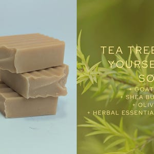 Tea Tree-T Yourself Soap | Goat Milk Bar with Tea Tree, Eucalyptus & Peppermint | Handmade Natural Soap | Self Care Gift
