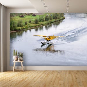 Bush Plane Landing on River Wall Mural