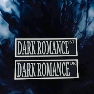 Dark Romance Straatnaambord Boekenplank Decor Booknook Ladyden Library Romance Bookish Booktok