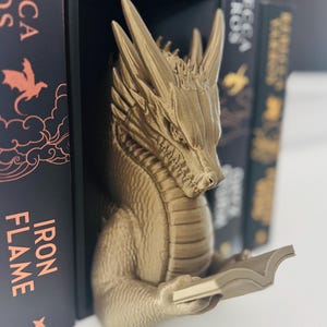 Coin livre de lecture dragon : décoration d'étagère fantastique inspirée de la quatrième aile