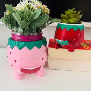 May include: A light pink strawberry-shaped planter holding a green plant and a red strawberry-shaped planter holding a succulent. Both planters feature green leaf tops, small arms holding open books, and are positioned on top of two stacked books.