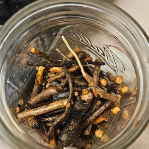Sassafras root bark - 1oz