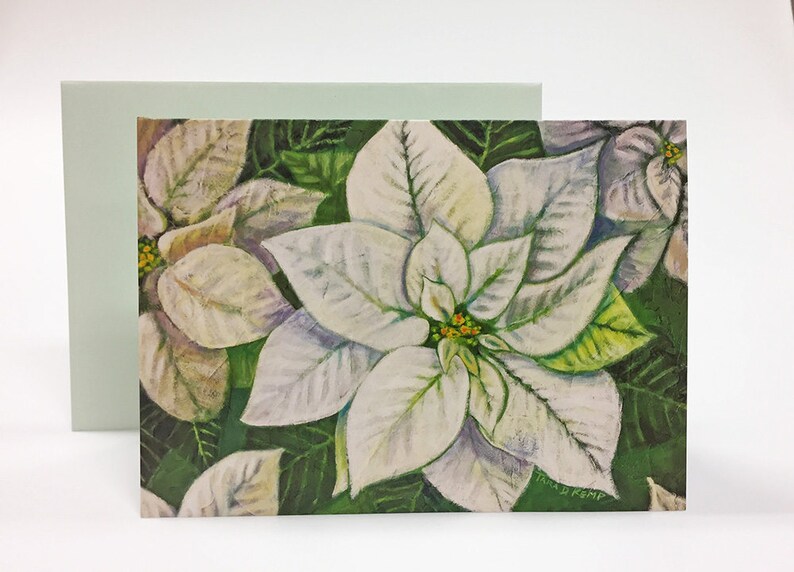 White Poinsettia Botanical Illustration Greeting Cards Set of 8 image 5