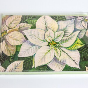 White Poinsettia Botanical Illustration Greeting Cards Set of 8 image 1