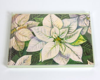 White Poinsettia - Botanical Illustration Greeting Cards - Set of 8