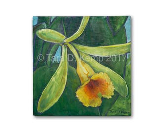 Vanilla Orchid - original painting