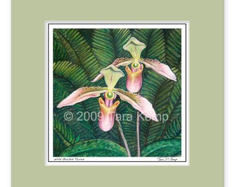 Wild Orchid Twins - Archival botanical 8x8 signed print in a 12x12 mat from original drawing by Tara Kemp