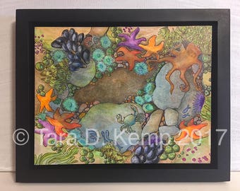 Tidepool - Glicee print of an original pen and watercolor painting - 8 x 10 - framed