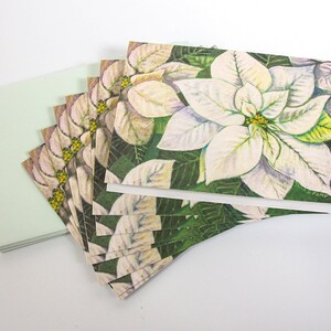 White Poinsettia Botanical Illustration Greeting Cards Set of 8 image 2