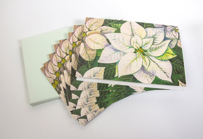 White Poinsettia Botanical Illustration Greeting Cards Set of 8 image 2