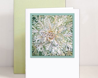 Botanical Illustration Greeting Card - White Flowering Kale